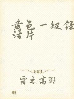 黄色一级录像生活片