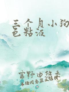 三个月小狗吐白色粘液