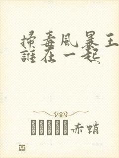 扫毒风暴王奇和谁在一起