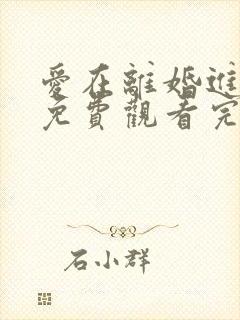 爱在离婚进行时免费观看完整版高清