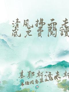 清风拂面老刘张岚免费阅读