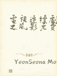 电视连续剧黑狐之风影免费全集