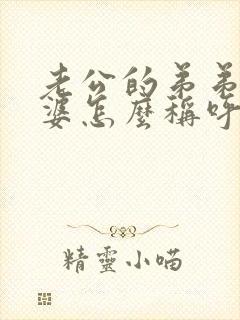 老公的弟弟的老婆怎么称呼