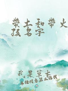 带土和带火的男孩名字