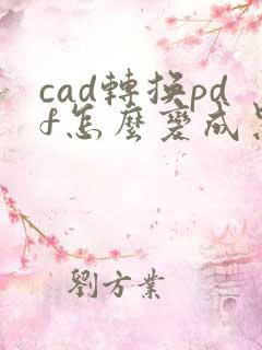 cad转换pdf怎么变成黑白