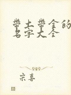 带土带金的男孩名字大全