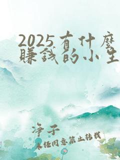 2025有什么赚钱的小生意可以做