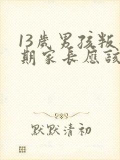 13岁男孩叛逆期家长应该怎么应对