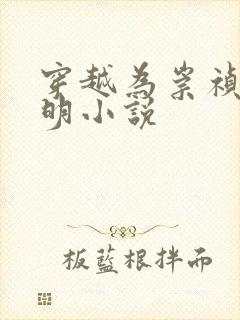 穿越为崇祯的大明小说