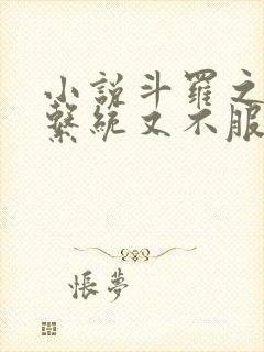 小说斗罗之我的系统又不服气了下载