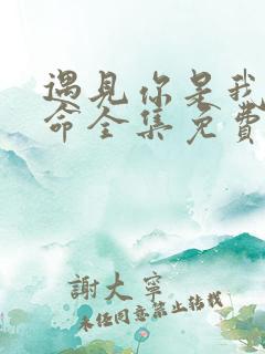 遇见你是我的宿命全集免费