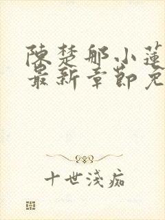 陈楚那小莲小说最新章节免费阅读