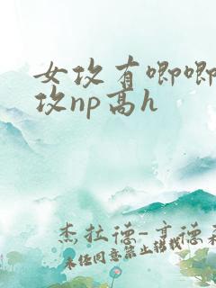 女攻有唧唧的女攻np高h