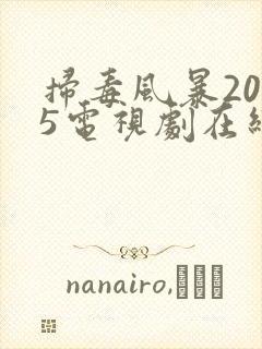 扫毒风暴2025电视剧在线观看高清