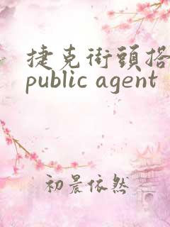 捷克街头搭讪:public agent