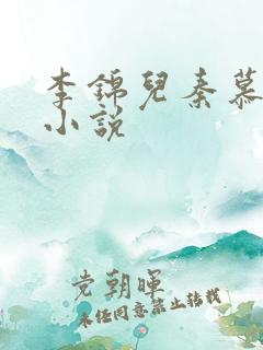 李锦儿秦慕修的小说