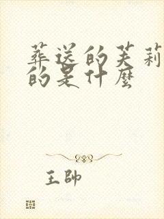 葬送的芙莉莲讲的是什么