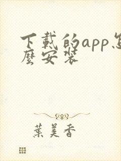 下载的app怎么安装