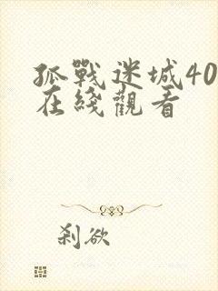 孤战迷城40集在线观看