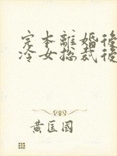 完本离婚后,高冷女总裁后悔