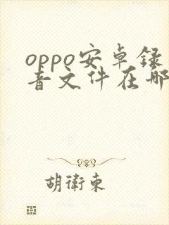 oppo安卓录音文件在哪个文件夹