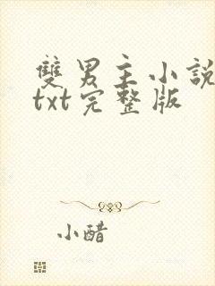 双男主小说下载txt完整版