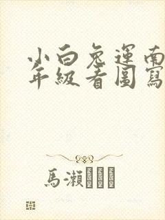 小白兔运南瓜一年级看图写话