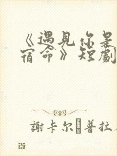 《遇见你是我的宿命》短剧