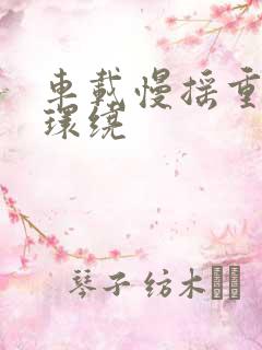 车载慢摇重低音环绕