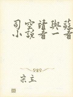 司空靖与苏月汐小说看一看