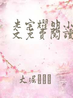 光宗耀明小说全文免费阅读