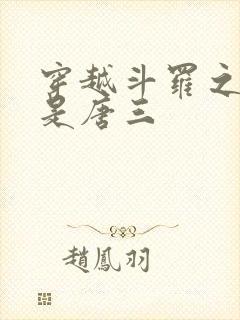 穿越斗罗之我弟是唐三