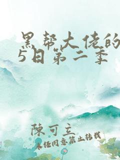 黑帮大佬的365日第二季