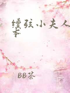 续弦小夫人 全本