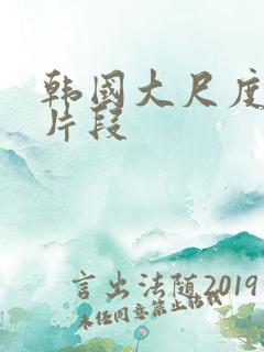 韩国大尺度床戏片段