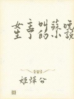 女主叫苏晚棠重生了的小说
