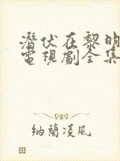 潜伏在黎明之前电视剧全集40集