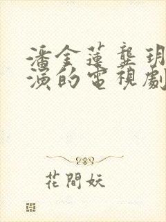 潘金莲龚玥菲主演的电视剧在线观看