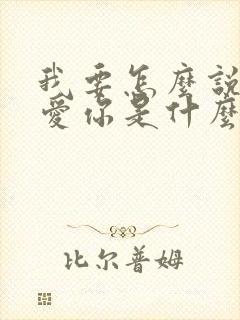 我要怎么说才能爱你是什么歌