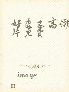 好爽又高潮了毛片免费