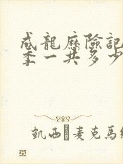 成龙历险记第一季一共多少集