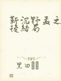 靳沉野孟之瑶最后结局