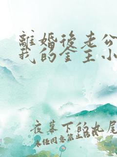 离婚后老公成了我的金主小说