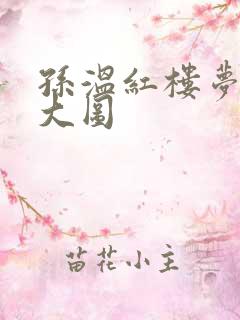 孙温红楼梦高清大图