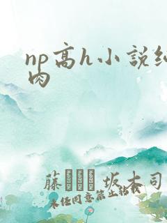 np高h小说纯肉