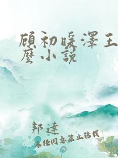 顾初暖泽王是什么小说