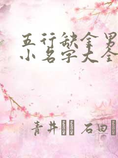 五行缺金男孩取小名字大全