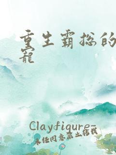 重生霸总的心尖宠