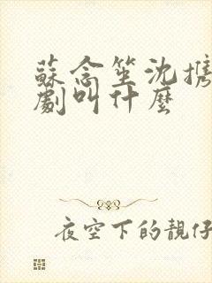 苏念笙沈携西短剧叫什么