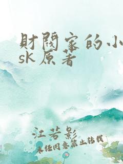 财阀家的小儿子sk原著